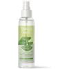 Bottega Verde - Deodorante Spray Donna, Aloe, 125 ml, Formula Vegana e Delicata, Lascia Traspirare la Pelle, con Aloe, Tutti i Tipi di Pelle