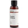Aroma Labs Nocciola BIO (Corylus avellana) - 50 mL - Olio Vegetale Vergine e Certificato AB - Tonico naturale - Aroma Labs - Made in France