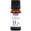 La Compagnie des Sens LAVANDA FINA BIO - 10mL - Olio Essenziale di Qualità Premium - 100% Puro, Naturale, Garantito ChromaCert® - Chemiotipizzato & Integrale