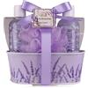Accentra Set doccia da donna, set regalo lavanda in bella scatola di metallo, set per la cura di 4 pezzi con gel doccia, lozione per il corpo, bagno schiumoso e spugna a rete, set regalo benessere per
