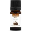 La Compagnie des Sens CARVI (Carum carvi) BIO - 5mL - Olio Essenziale di Qualità Premium - 100% Puro, Naturale, Garantito ChromaCert® - Chemiotipizzato & Integrale