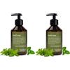 Jean & Len sapone per le mani Lemonverbena & Mint, deterge le mani stressate, adatto all'uso quotidiano, sapone liquido in dispenser a pompa, fragranza di agrumi, vegan, 250 ml (Confezione da 2)