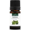 La Compagnie des Sens RAVINTSARA BIO - 5mL - Olio Essenziale - 100% Puro, Naturale, Integrale - Supporto al Sistema Immunitario