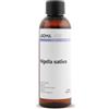 Aroma Labs Nigella BIO (Nigella sativa) - 100 mL - Olio Vegetale Vergine e Certificato AB - Aroma Labs - Made in France