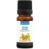 La Compagnie des Sens TANACETO ANNUALE (Tanacetum annuum) BIO - 10mL - Olio Essenziale di Qualità Premium - 100% Puro, Naturale, Chemiotipizzato e Integrale