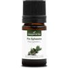 La Compagnie des Sens PIN SYLVESTRE (Pinus sylvestris) BIO - 5mL - Olio Essenziale di Qualità Premium - 100% Puro, Naturale, Garantito ChromaCert® - Chemiotipizzato & Integrale