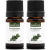 La Compagnie des Sens PIN SYLVESTRE (Pinus sylvestris) BIO - 5mL - Olio Essenziale di Qualità Premium - 100% Puro, Naturale, Garantito ChromaCert® - Chemiotipizzato & Integrale (Confezione da 2)