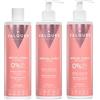 Valquer Laboratorios Valquer - Kit Metodo Ricci: Shampoo, Maschera e Booster - Senza Solfati e Sale - 96% Ingredienti Naturali - Capelli Ricci Definiti e Idratati - 400 ml + 290 ml + 300 ml