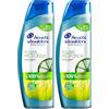 Head & Shoulders Pulizia Profonda Capelli Grassi, Contro La Forfora, Con Agrumi, Senza Siliconi, Per Capelli Fino Al 100% Liberi Dalla Forfora, 250 ml (Confezione da 2)