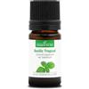 La Compagnie des Sens BASILICO TROPICALE BIO - 5mL - Olio Essenziale di Qualità Premium - 100% Puro, Naturale, Garantito ChromaCert® - Chemiotipizzato & Integrale