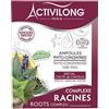 Activilong complesso radici lampadine phyto-concentrées