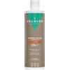 Valquer Laboratorios Valquer Professional Shampoo Power Color capelli tinti. Vegano e senza solfati (rame). Hair Color Enhancer - 400 ml.