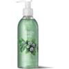 Bottega Verde - Menta, Lavamani, 250 ml, con Estratti di Menta Piperita e Basilico, Detergente e Rinfrescante, Formula Delicata, Ideale per Lavaggi Frequenti, per Tutti i Tipi di Pelle