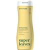 BIO SPECTRA ATTITUDE ATTITUDE Clarifying Hair Shampoo, EWG Verified, Restores Shine, Naturally Derived Ingredients, Vegan and Plant Based, Lemon Leaves and White Tea, 473 mL