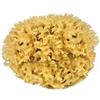 Croll & Denecke M080 - spugna naturale dal Mar Mediterraneo (qualità media, otto centimetri)