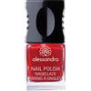 Alessandro Smalto standard 25 Fire and Flame, confezione da 1 (1 x 10 ml)
