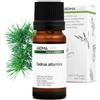 Aroma Labs Cedro dell'Atlante BIO (Cedrus atlantica) - 10 mL - Olio Essenziale Chemiotipizzato e Certificato AB/Cosmos - Aroma Labs - Made in France