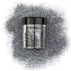 Stargazer Products Starlight - Diffusore di glitter Rocket Silver, confezione da 1 (1 x 5 g)