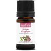 La Compagnie des Sens ORIGANO DI SPAGNA (Thymbra capitata) BIO - 5mL - Olio Essenziale di Qualità Premium - 100% Puro, Naturale, Chemiotipizzato e Integrale