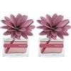 MUHA' | Profumatore per ambienti Flower Diffuser, Fragranza Melograno, Diffusore Ambiente con Fiore in Legno di Betulla, Formato da 30 ml (Confezione da 2)