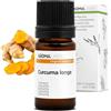Aroma Labs Curcuma BIO (Curcuma longa) - 5 mL - Olio Essenziale Chemiotipizzato e Certificato AB/Cosmos - Aroma Labs - Made in France