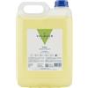 Valquer Laboratorios VALQUER Shampoo alla Mandorla | Rinforza e Protegge i Capelli | Pulizia Profonda e Morbidezza per Tutti i Tipi di Capelli | Formula Vegana Senza Siliconi | 5 L (Parrucchieri)