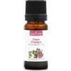La Compagnie des Sens ORIGANO DI SPAGNA (Thymbra capitata) BIO - 10mL - Olio Essenziale di Qualità Premium - 100% Puro, Naturale, Chemiotipizzato e Integrale