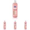 Kelemata Kelémata, Shampoo Purificante al Ginepro Rosso, 250 ml Specifico Anti-Forfora con Azione Seboregolatrice e Purificante, Ideale per Capelli con Forfora, Formula Delicata e Naturale (Confezione da 4)
