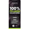 SANTE Naturkosmetik Colore per capelli vegetali, nero, 100 g, colorazione naturale con indaco, colore per capelli senza ammoniaca e perossidi, vegano e dermatologicamente testato