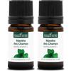 La Compagnie des Sens MENTA DEI CAMPI (Mentha arvensis) BIO - 5mL - Olio Essenziale di Qualità Premium - 100% Puro, Naturale, Chemiotipizzato e Integrale (Confezione da 2)