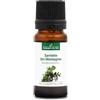 La Compagnie des Sens SANTOREGGIA DI MONTAGNA (Satureja montana) BIO - 10mL - Olio Essenziale di Qualità Premium - 100% Puro, Naturale, Chemiotipizzato e Integrale