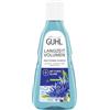 Guhl Shampoo volume a lungo termine - Contenuto: 250 ml - volume e pienezza per capelli fini