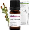 Aroma Labs Cicuta Canadese BIO (Tsuga canadensis) - 5 mL - Olio Essenziale Chemiotipizzato e Certificato AB - Aroma Labs - Made in France