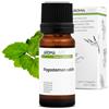 Aroma Labs Patchouli BIO (Pogostemon cablin) - 10 mL - Olio Essenziale Chemiotipizzato e Certificato AB/Cosmos - Aroma Labs - Made in France