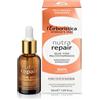L'Erboristica di Athena's dal 1969 L'Erboristica Athena's - Olio Viso Multivitaminico - Puro Olio di Baobab Biologico - Olio Nutriente Intensivo e Rigenerante - 30ml