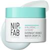 NIP & FAB Nip + Fab Hyaluronic Fix Extreme 4 2 % Crema Notte - Idratazione e Levigante - con Acido Ialuronico, Effetto Rimpolpante e Anti-Età per Una Pelle Luminosa, 50 ml