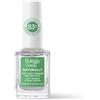 Bottega Verde - NATURALLY - Top coat unghie protettivo con Camelia e Rosa canina (10 ml)