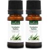 La Compagnie des Sens EUCALIPTO RADIATA BIO - 10mL - Olio Essenziale di Qualità Premium - 100% Puro, Naturale, Garantito ChromaCert® - Chemiotipizzato & Integrale (Confezione da 2)