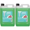 Valquer Laboratorios DesmabelChampú Familiar con Esencia de Granada, Garrafa, Profesional Peluquería, Sin Parabenos, Ph 5.5, Uso Diario, Formulazione Suave, 5000 Ml (Confezione da 2)
