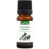 La Compagnie des Sens TIMO A FOGLIE DI SANTOREGGIA (Thymus satureioides) BIO - 10mL - Olio Essenziale di Qualità Premium - 100% Puro, Naturale, Chemiotipizzato e Integrale