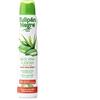 TULIPAN NEGRO Black Tulip Deodorante Spray Aloe Vera e di jojoba, 200 Ml