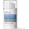 SOOL Crema Viso Notte Renew & Repair 300 mg CBD, 50 ml | Crema Riparatrice Cellulare per Tutti i Tipi di Pelle | Migliore Crema Notte per il Viso con Alga Dorata