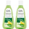 Guhl Shampoo antigrasso, fresco e leggero, contenuto: 250 ml, tipo di capelli: grassi, normali (Confezione da 2)