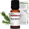 Aroma Labs Abete Nero BIO (Picea mariana) - 10 mL - Olio Essenziale Chemiotipizzato e Certificato AB/Cosmos - Aroma Labs - Made in France