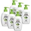 Equilibra Carbone Attivo Detergente Mani Detox, Confezione da 6 Pezzi (6 x 300 ml)