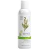 Styx Hair+ Shampoo con olio di tea tree, 200 ml