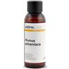 Aroma Labs Nocciolo di Albicocca BIO (Prunus armeniaca) - 50 mL - Olio Vegetale Vergine e Certificato AB - Aroma Labs - Made in France