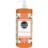BOLDAIR - Detergente per mani pesca di vite - Formula detergente, idratante e ammorbidente - 500 ml - Produzione francese