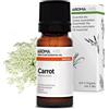 Aroma Labs Carota BIO (Daucus carota) - 10 mL - Olio Essenziale Chemiotipizzato e Certificato AB - Aroma Labs - Made in France