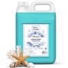 IDEA HOME AROMÉA Sapone Liquido Mani Sapphire Night - Tanica Ricarica 5 L - per Dispenser Manuali e Automatici - Uso Professionale e Domestico
